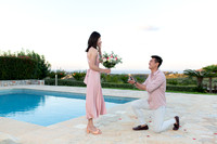 Surprise Proposal  Private Villa